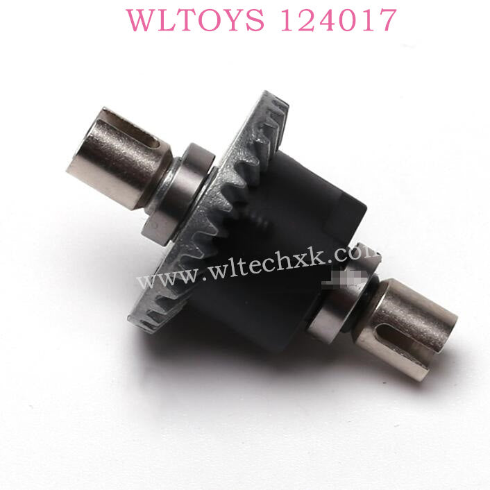 WLTOYS 124017 RC Car Original Parts 1309 Differential Assembly