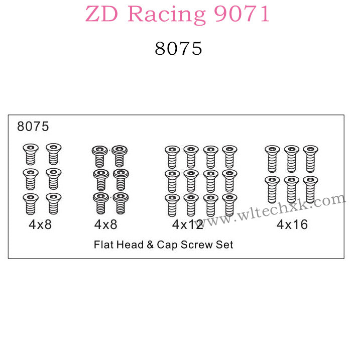 ZD Racing 9071 Parts Flat Head and Cap Screw Set 8075