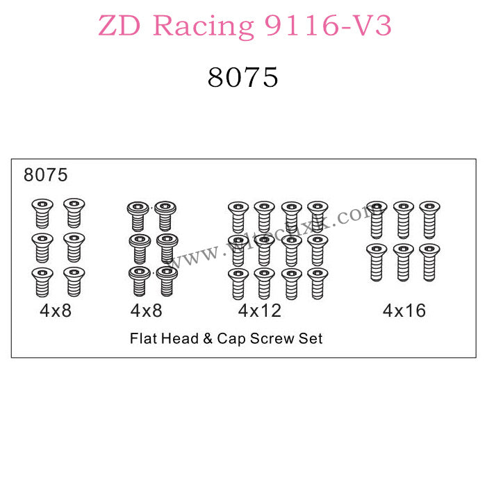 ZD Racing 9116-V3 Parts Flat Head and Cap Screw Set 8075