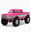 RGT 136100PRO 1/10 4WD RC CAR PINK-1