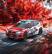 ZD Racing RX12 4WD Brushless Rally Car RED-1