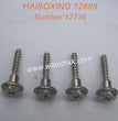 12736-HAIBOXING 12889 RC Car PartsWHEEL LOCK SCREWS-2